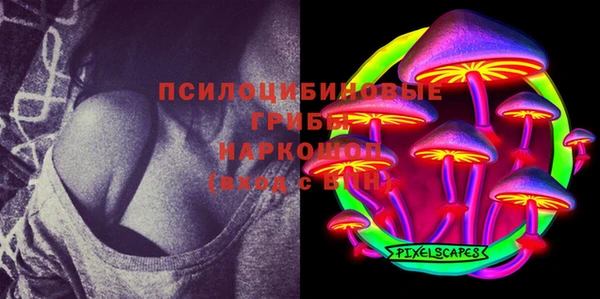 spice Бородино