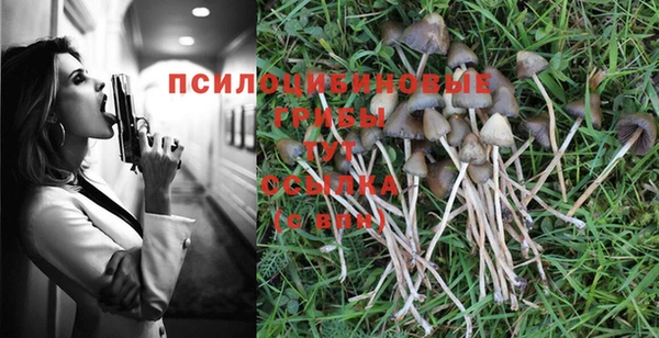 spice Бугульма