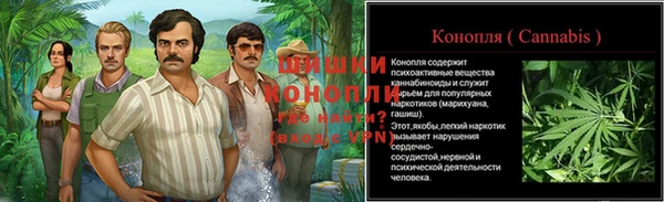 СК Верея