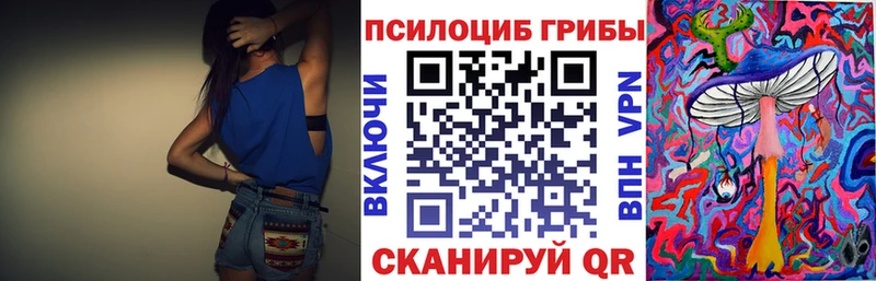 МЕГА ссылки  Вяземский  Галлюциногенные грибы Cubensis 