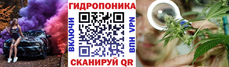 купить наркоту  Вяземский  Канабис гибрид 
